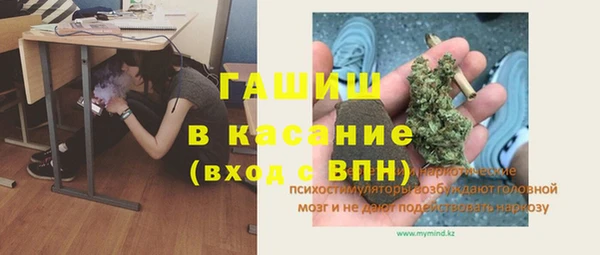 индика Михайлов