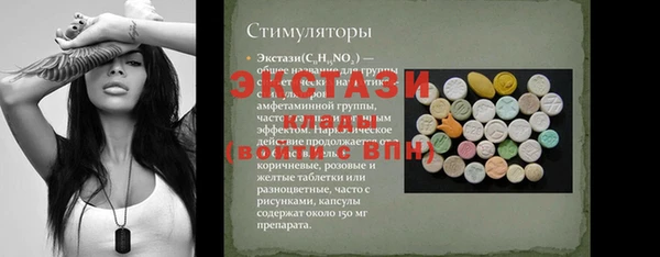индика Михайлов