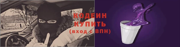 индика Михайлов