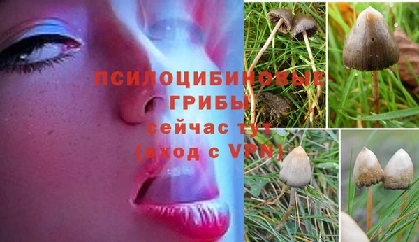 индика Михайлов