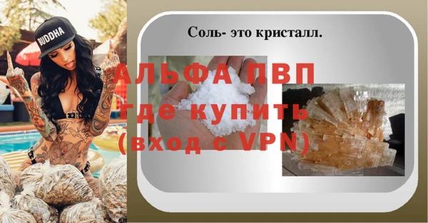 индика Михайлов