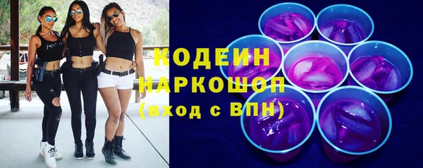 индика Михайлов
